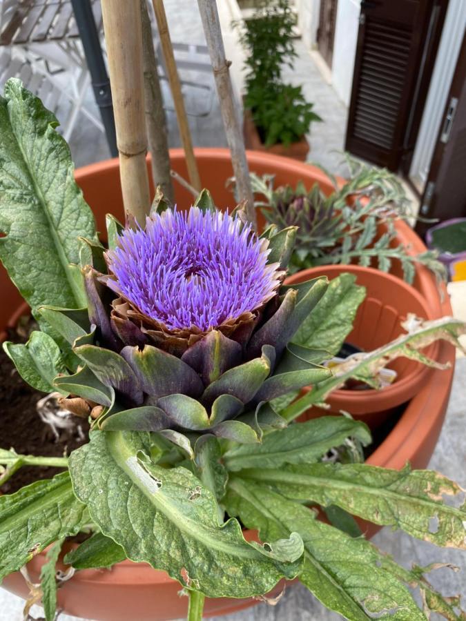 Officinale Rome Apartment, Pineta Sacchetti Zewnętrze zdjęcie