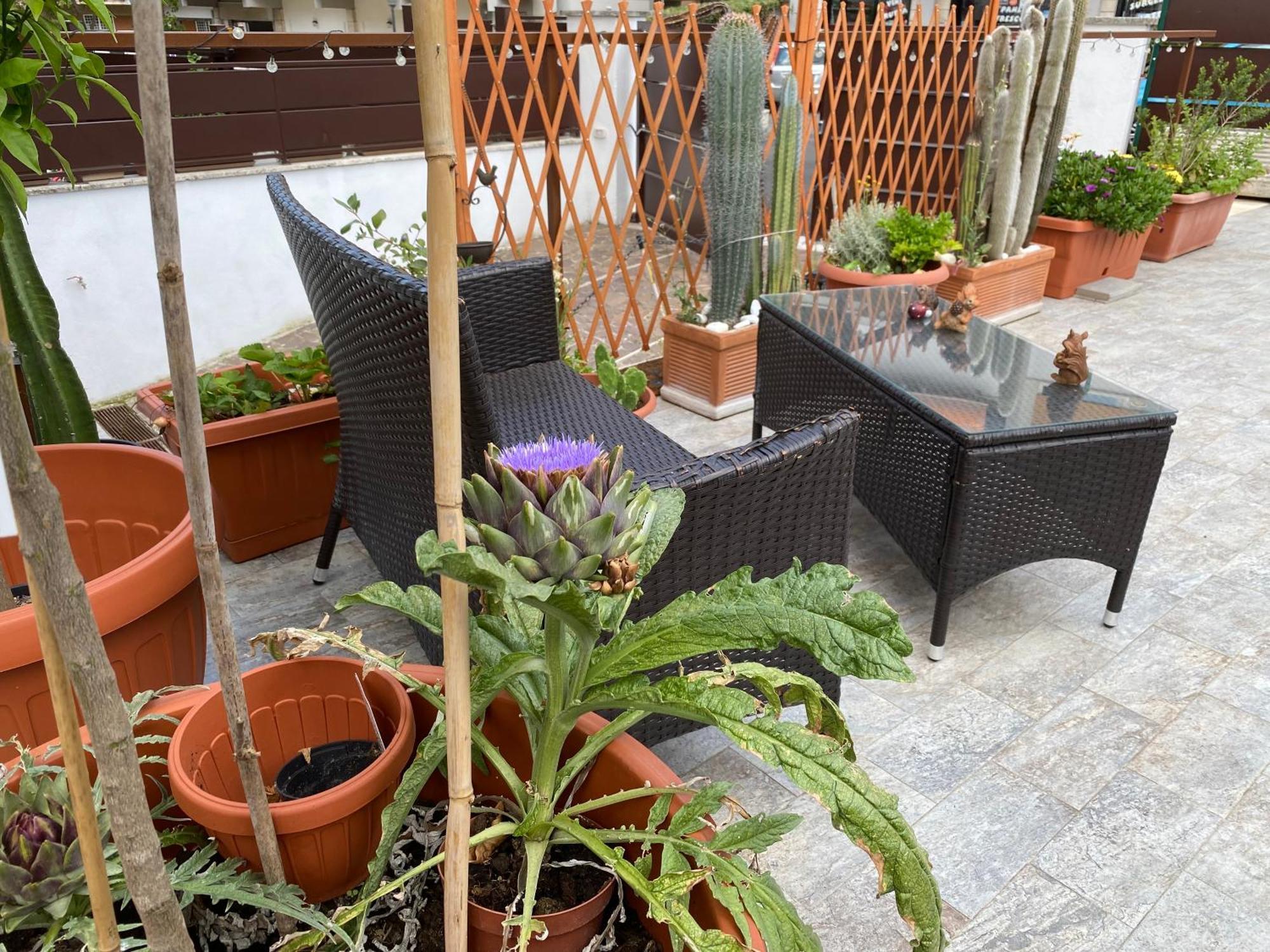 Officinale Rome Apartment, Pineta Sacchetti Zewnętrze zdjęcie